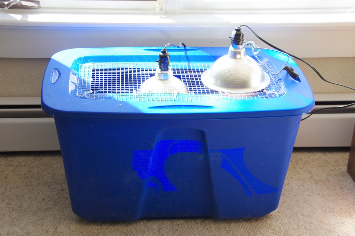 Plastic Tote Chick Brooder – Black Spruce Hound